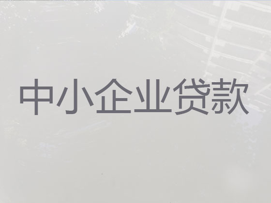 台山市企业银行贷款